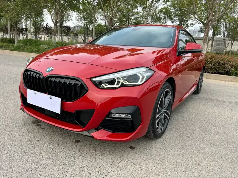 BMW 2 Series (Import), 2022