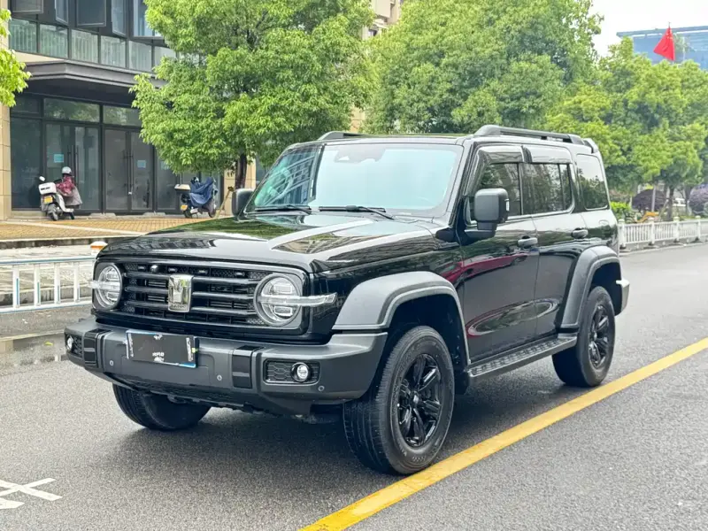 Tank 300, 2021