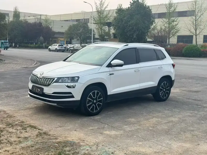 Skoda Karoq, 2019